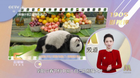 援交视频